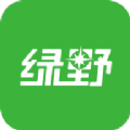 绿野app