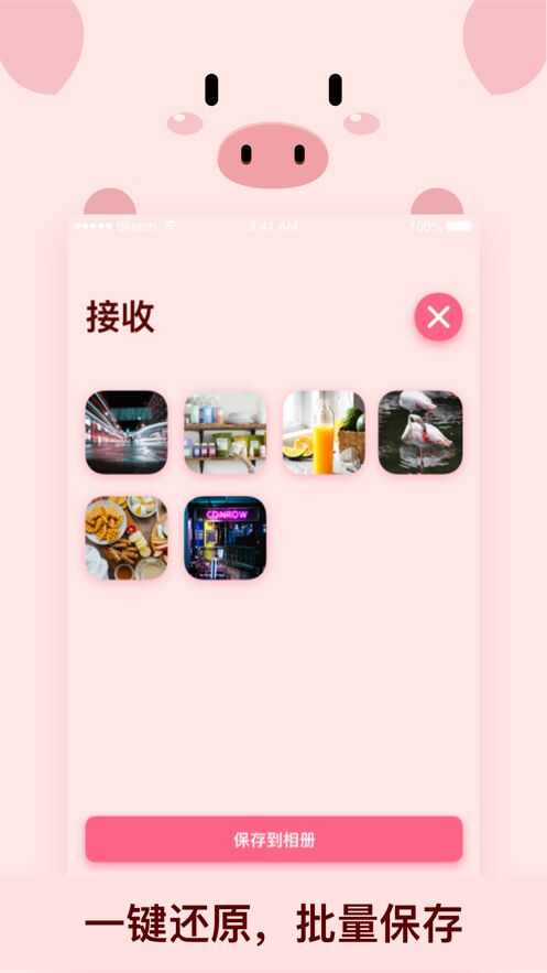 小猪快传app官方版图3: