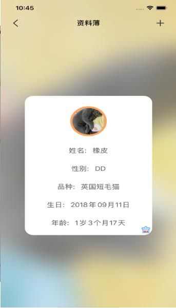 宠猫日记app手机版图2: