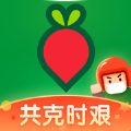 叮咚买菜app官方版 v10.12.2