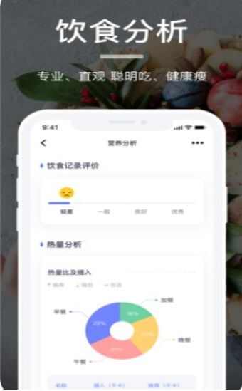 薄荷营养师app手机版图片1