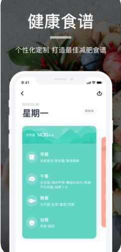 薄荷营养师app手机版图1: