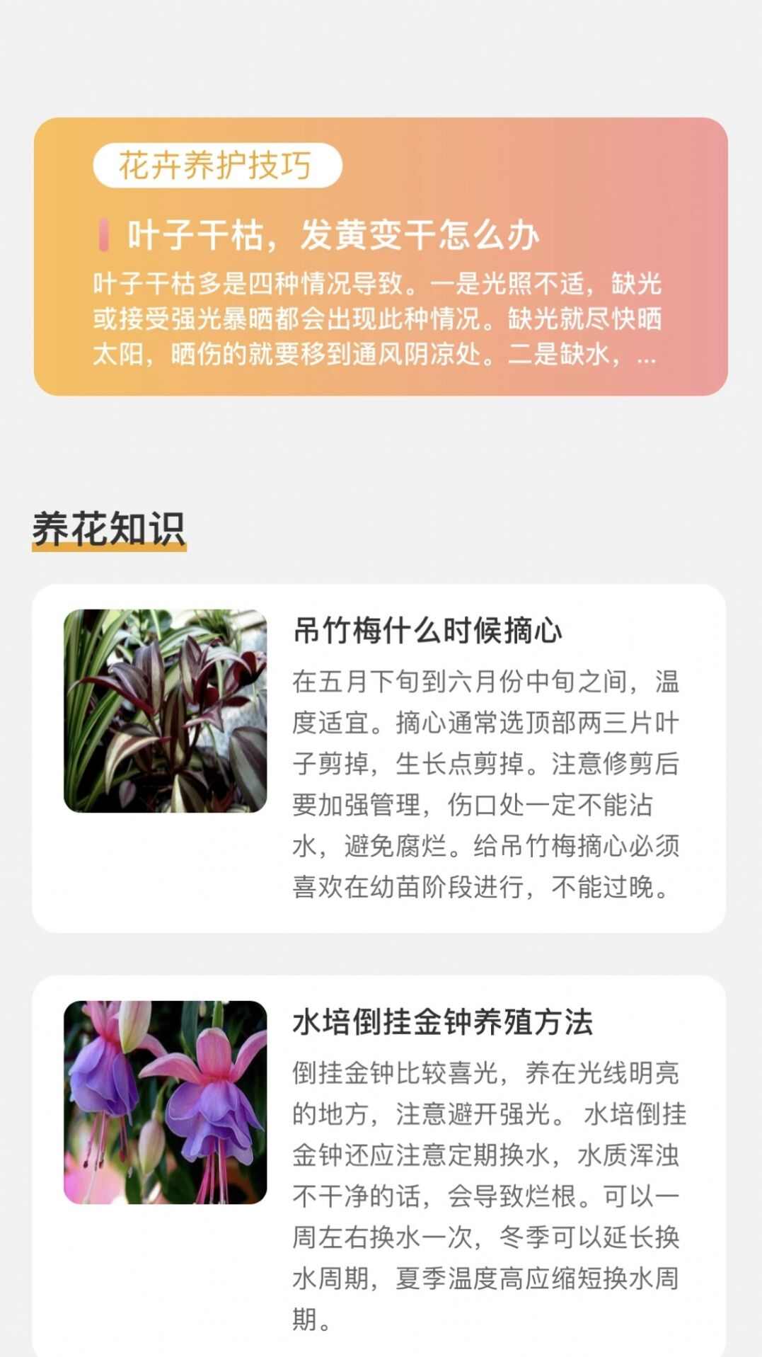 百花悦看花卉百科app安卓下载图2: