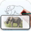 draw trace sketch绘画练习软件最新版下载 v1.7