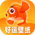 好运壁纸高清全屏2024最新壁纸APP v1.0.0