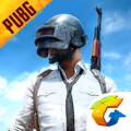 pubg mobile国际服下载安装最新版 v2.8.0