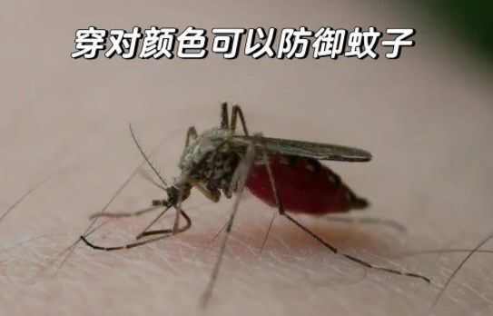 哪种色系的衣服能有效防蚊 淘宝每日一猜7月15日答案[多图]图片2