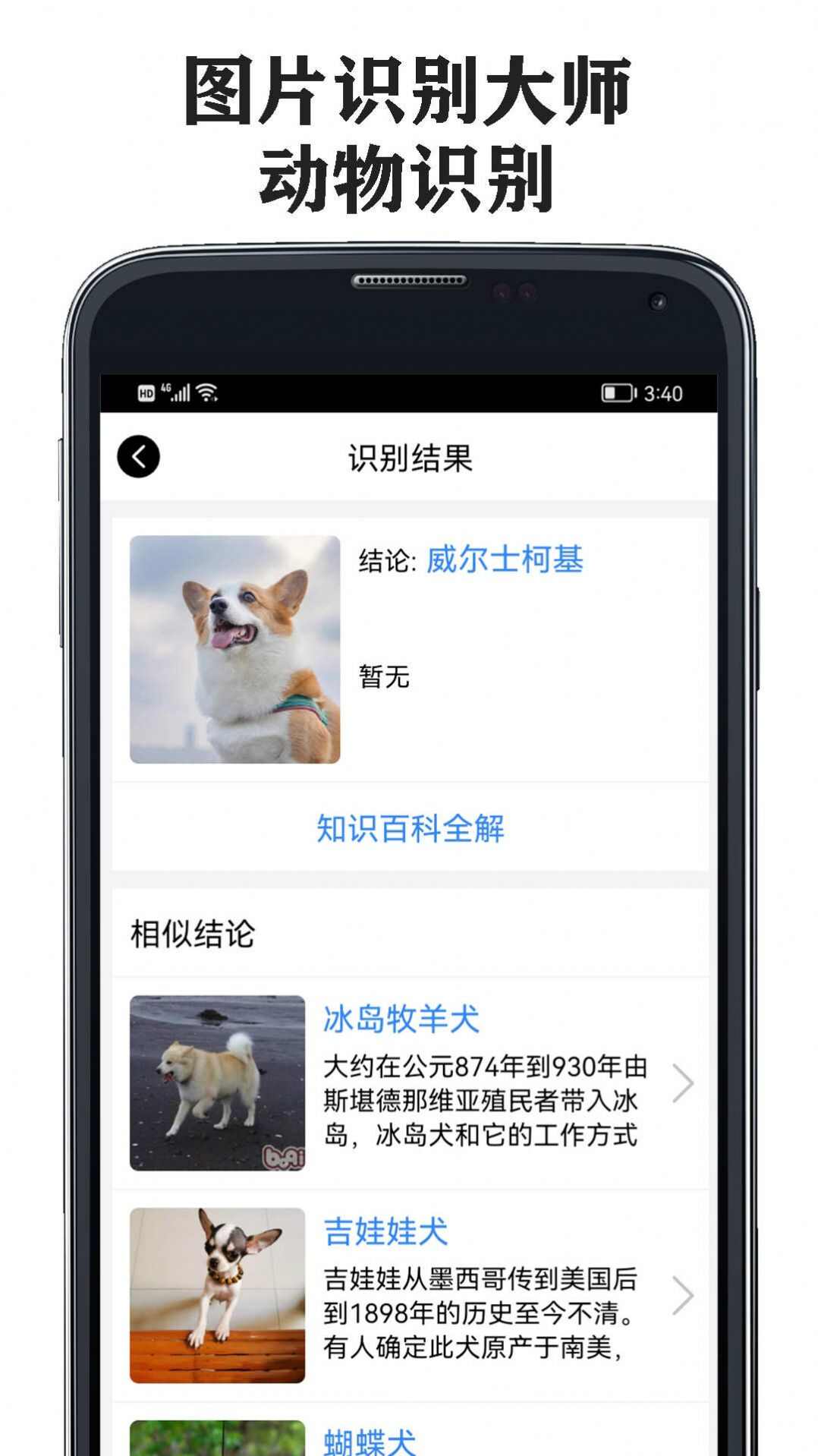 图片识别大师app手机版图2: