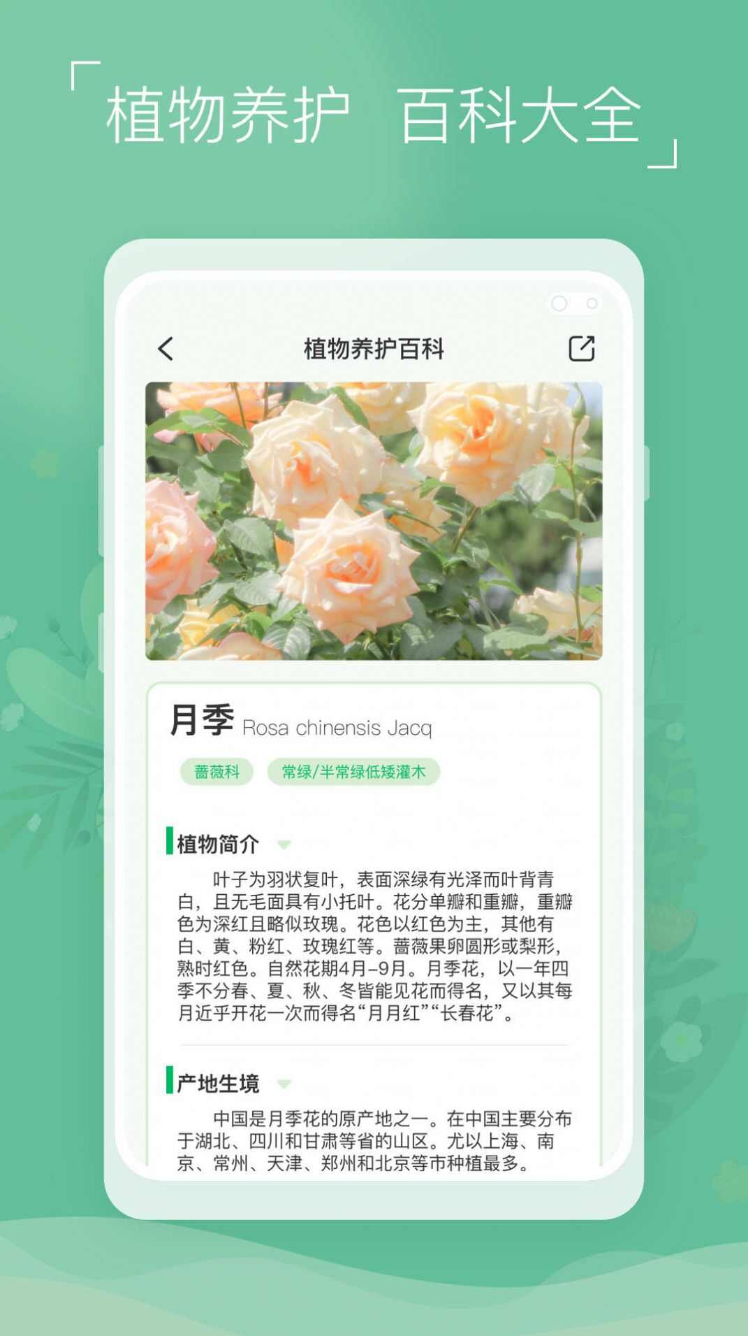 植物识别宝软件app下载安装图3: