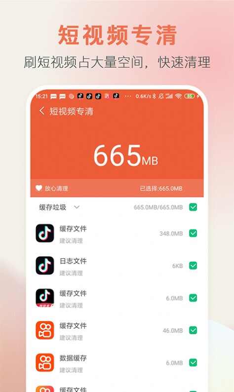 极速清内存软件最新版图3: