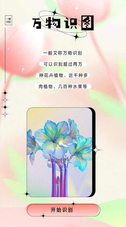 万物识图大师最新版软件app图2: