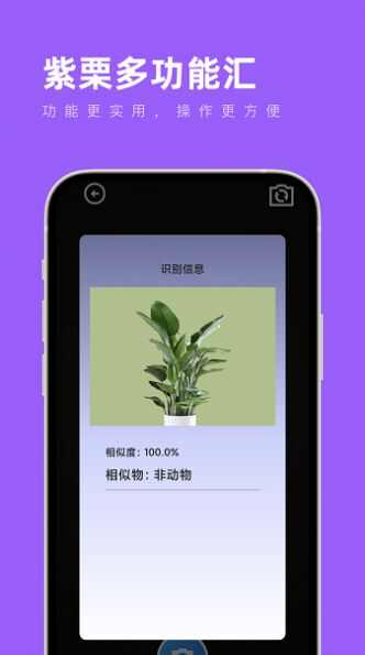 紫栗多功能汇工具箱app官方下载图2: