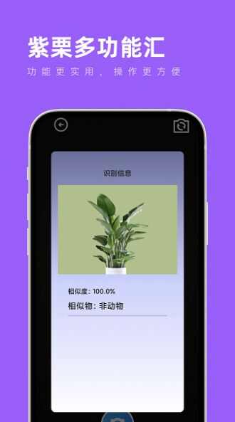 紫栗多功能汇工具箱app官方下载图片3