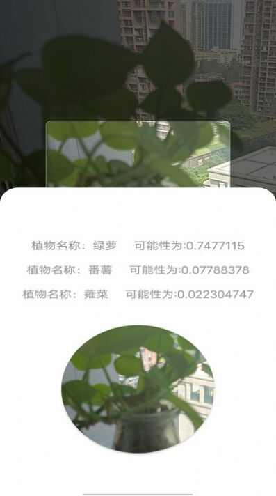 拍照识别植物弛意版app安卓版图2: