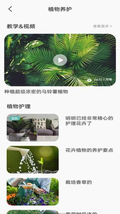 拍照识别植物弛意版app安卓版图片1