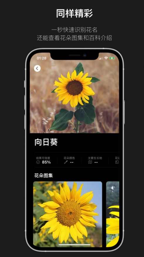 这是什么花看图识花苹果版app最新下载图片4