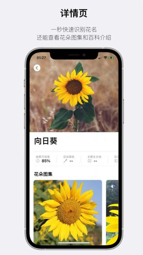 这是什么花看图识花苹果版app最新下载图片5