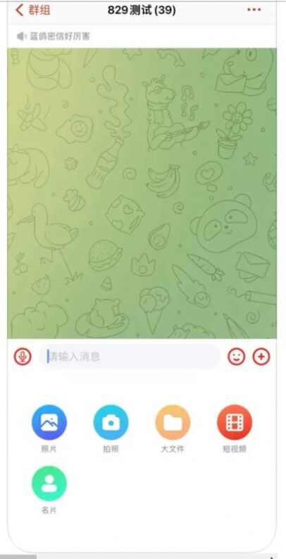 蓝鸽密信苹果手机下载官方app图片1