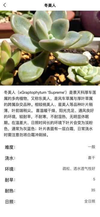 梦幻绿植百科app手机版图1: