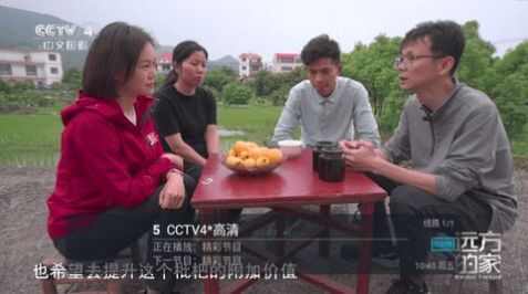 天微电视tv官方版下载图3: