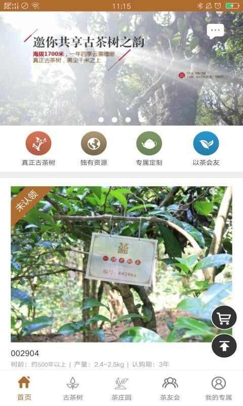 古树茶购物app官方版图1: