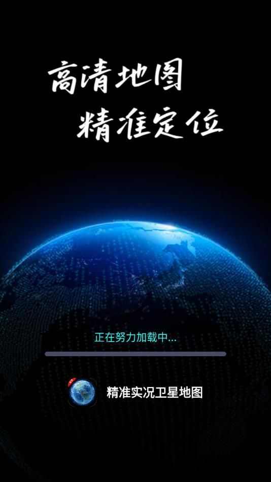 精准实况卫星地图软件安卓版图2: