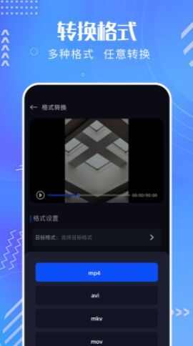 红叶影频播放器app图3