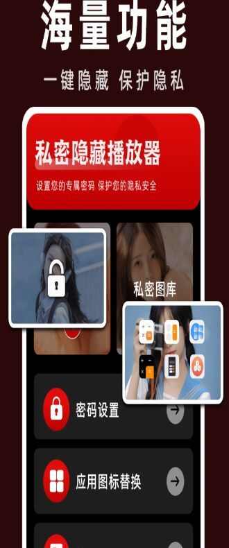 加密私人播放器下载安装图1: