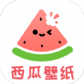 西瓜壁纸助手app官方版 v1.0.0