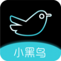 小黑鸟交友软件官方版 v1.0.2