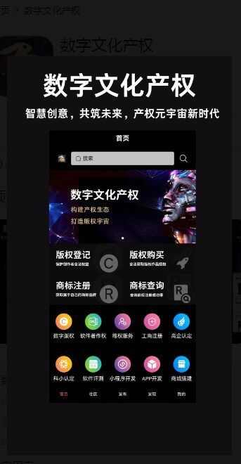 数字文化产权交易平台app最新版图片1