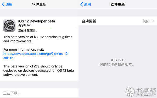 iOS 12升级方法 (开发版)[多图]图片3