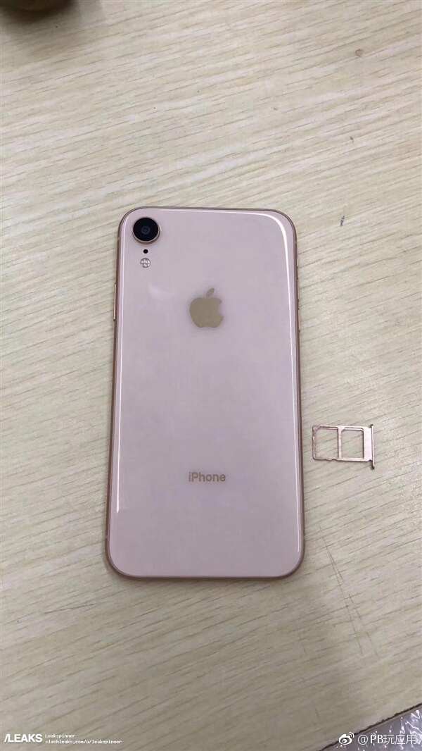 6.1寸iPhone机模现身：支持双卡[多图]图片5